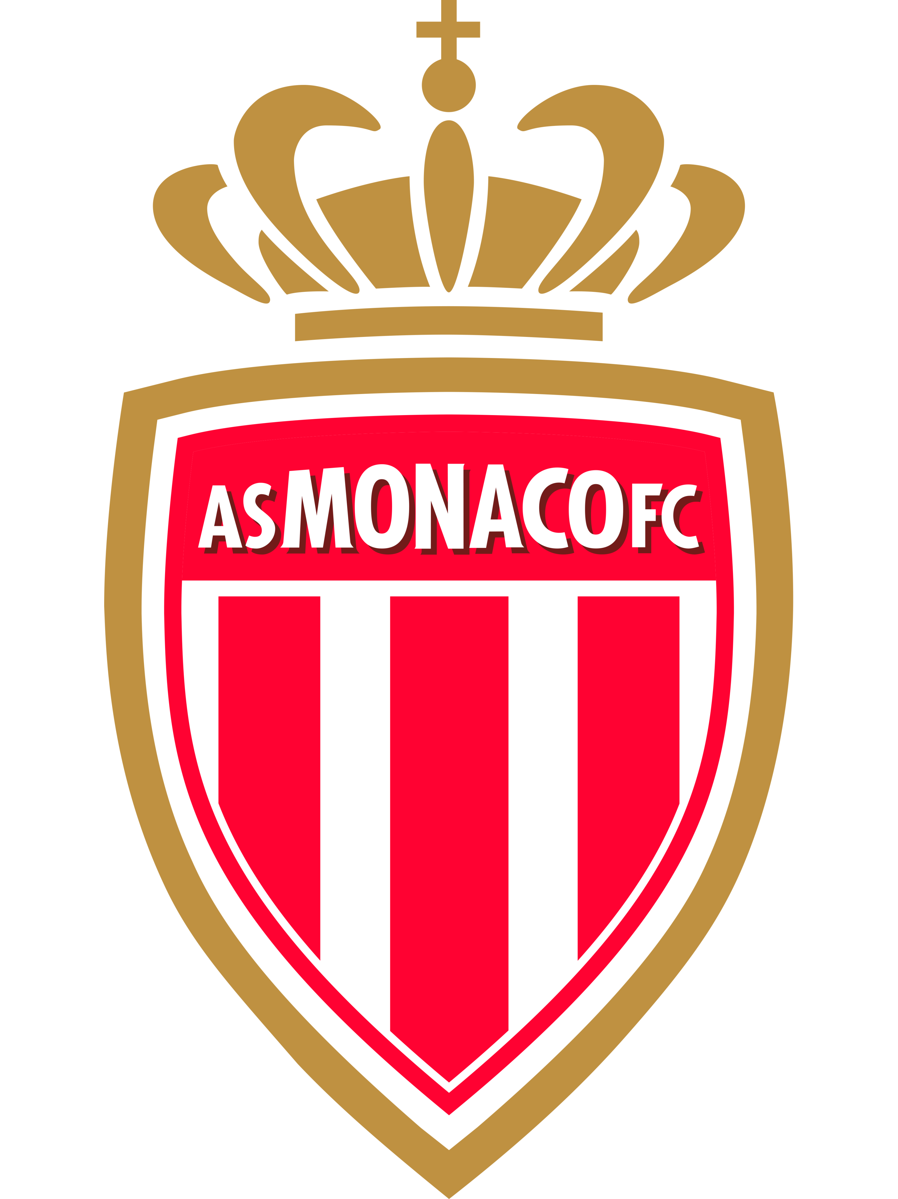 摩纳哥足球俱乐部正在备战重要的比赛 摩纳哥足球俱乐部正在备战重要的比赛