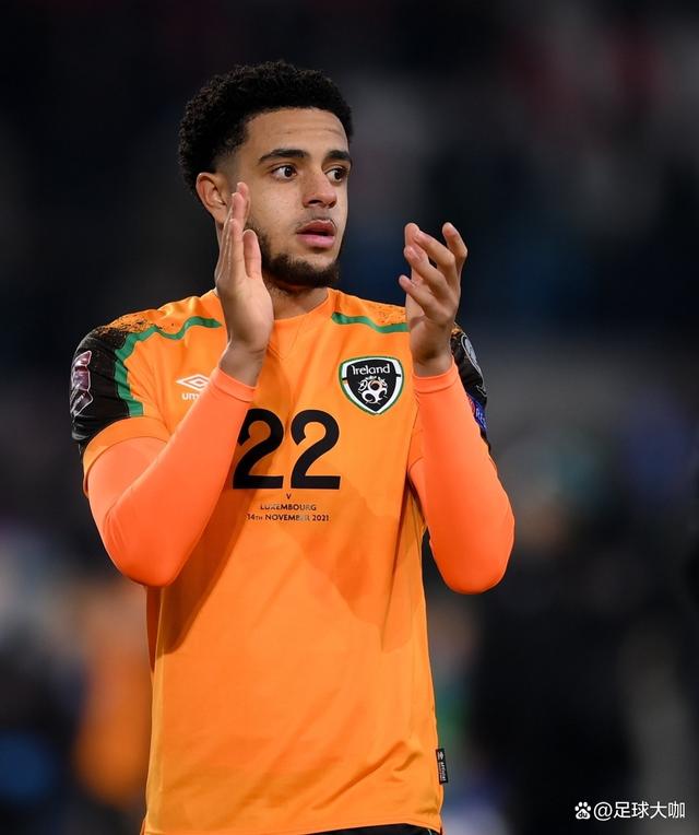 爱尔兰运动员士气高昂，凭借实力征服对手的简单介绍