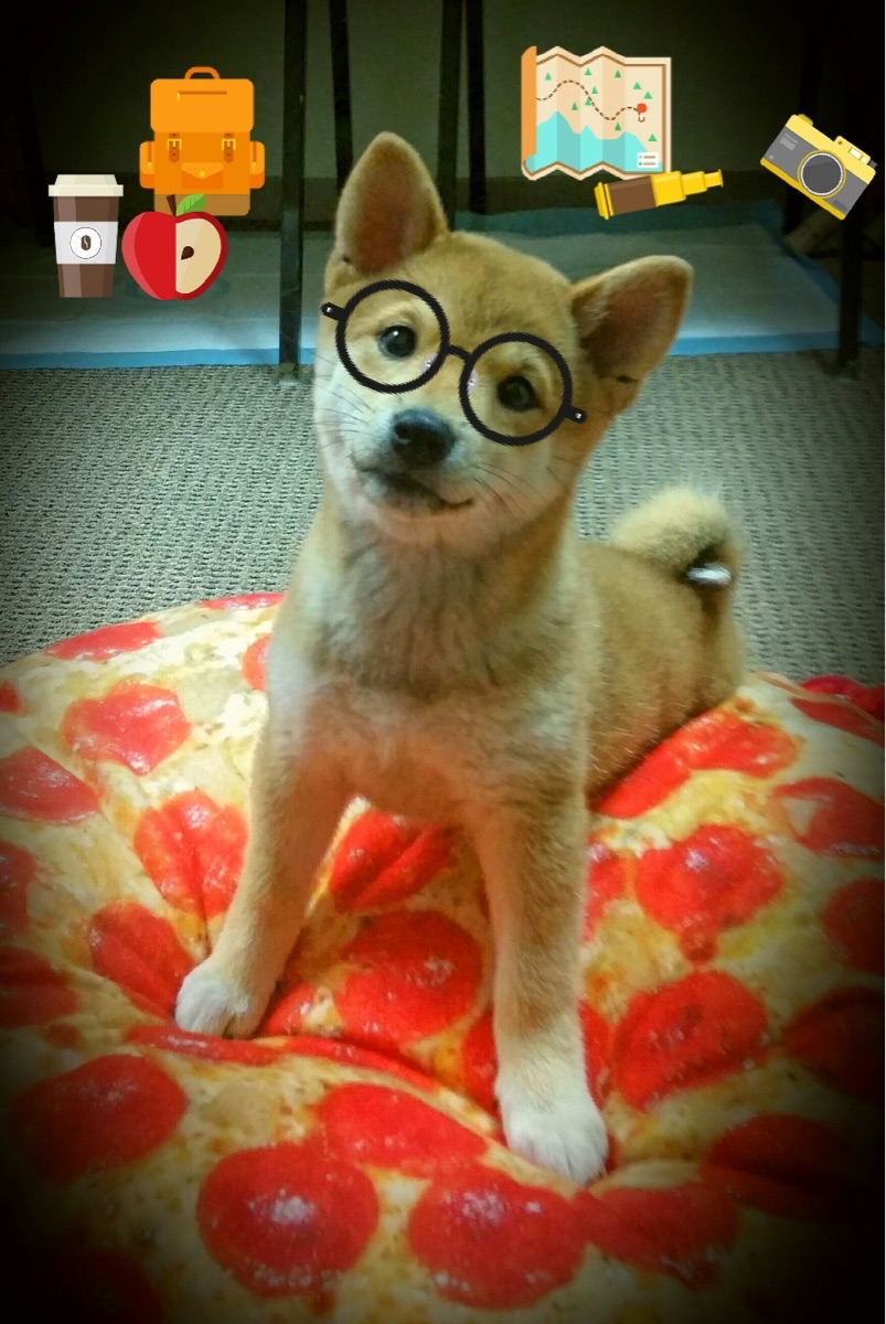 弗拉霍维奇读秒绝杀！克罗地亚鏖战智利，关键先生一锤定音