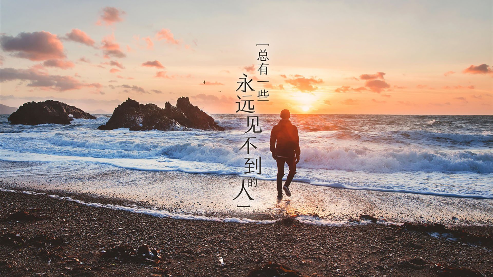 双星闪耀，足球的多元面孔，萨拉赫的坚持与厄瓜多尔的反叛