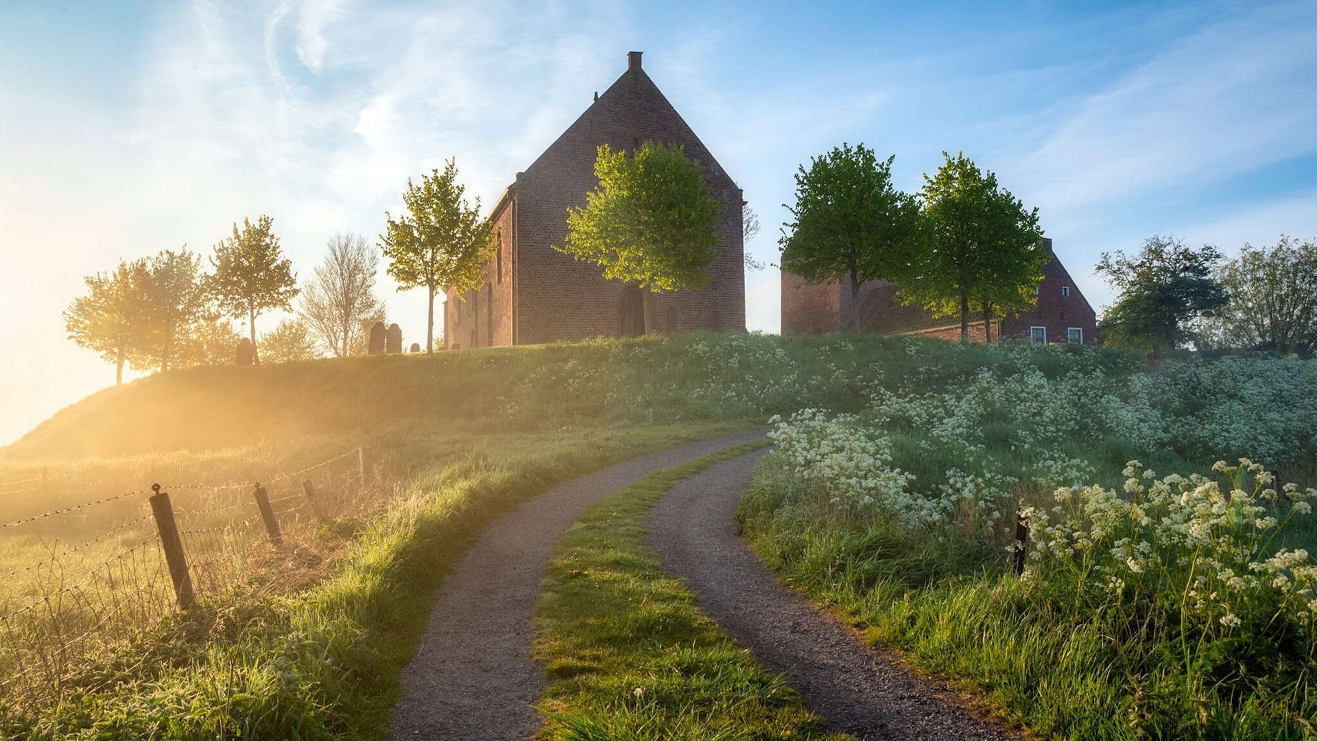 双星闪耀，足球的多元面孔，萨拉赫的坚持与厄瓜多尔的反叛