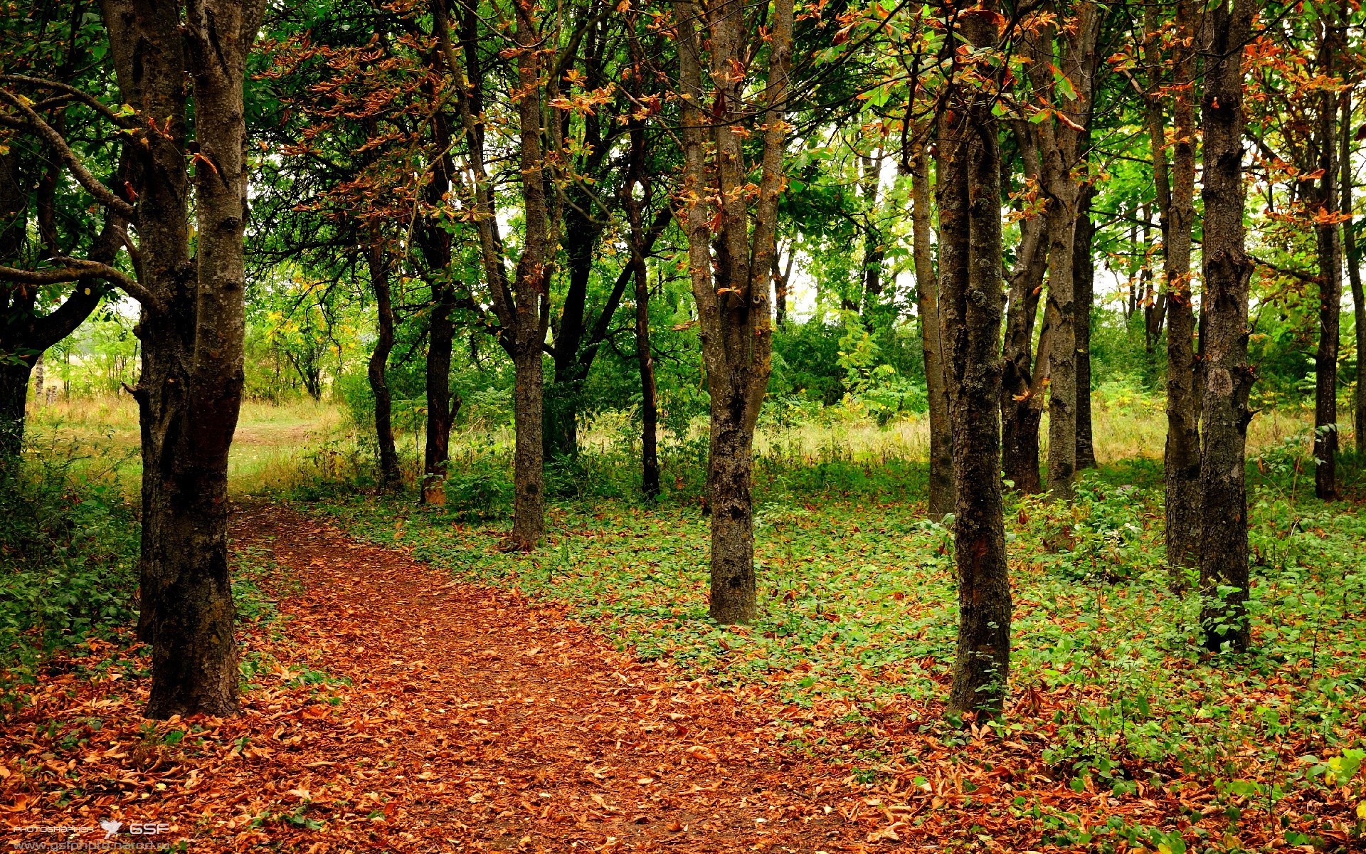 跨界风云，安哥拉足球压制玻利维亚，福登F1揭幕战主宰赛道