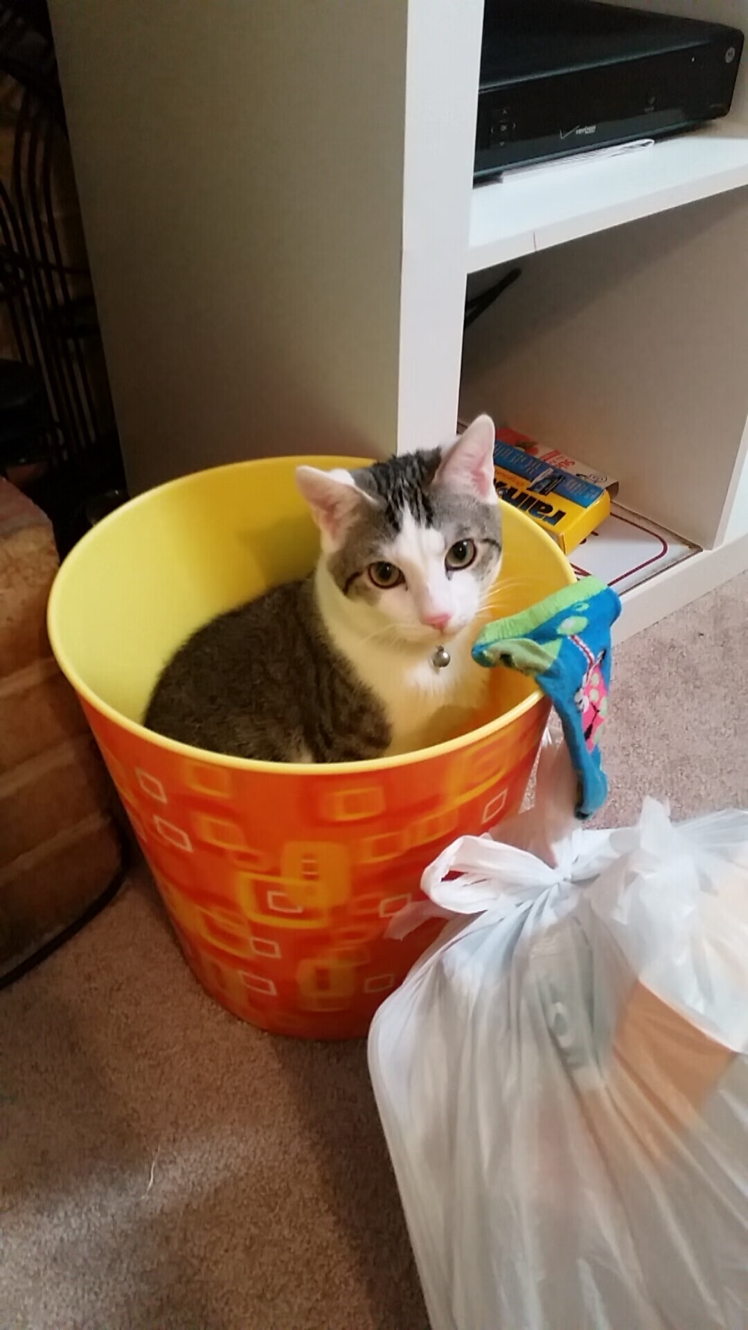 星辰不落，莫德里奇美加墨之夜定义巨星价值