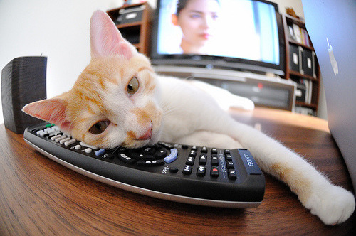 浓眉擎天柱！步行者关键战突围浙江，一战定江山